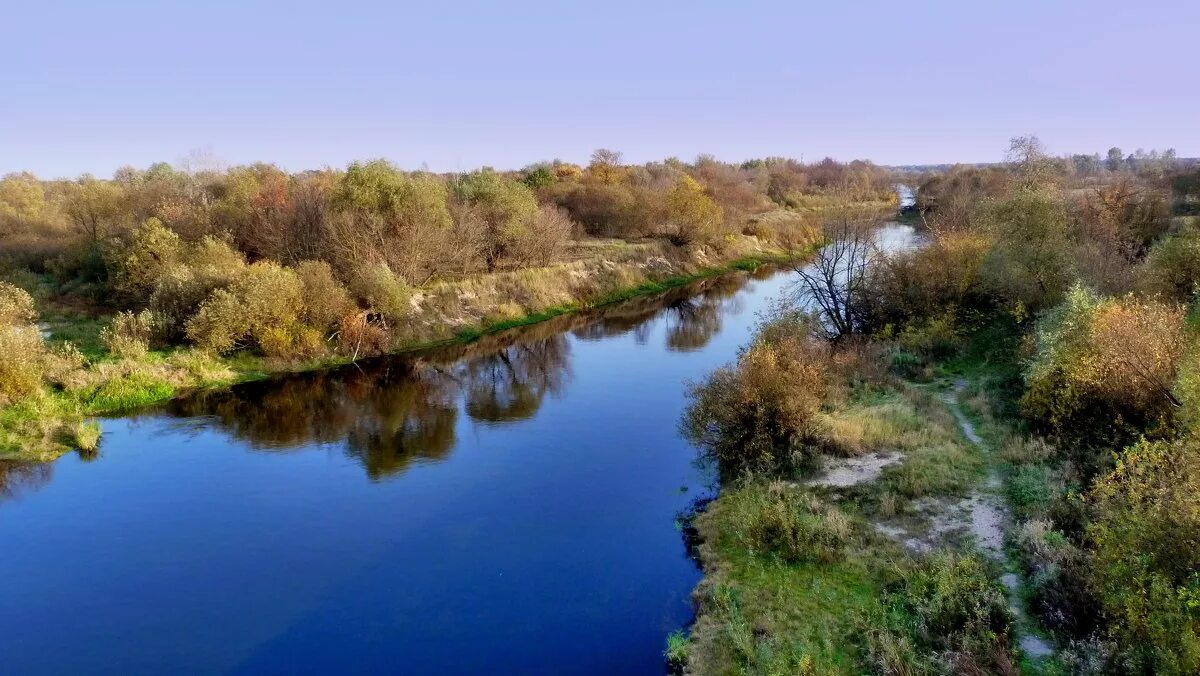 река ипуть. растения и животные реки ипуть. речка тростянка. калининск саратовской области лебеди природа. город сураж экология.