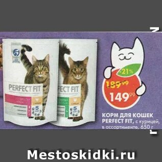 Корм для кошек нижний новгород