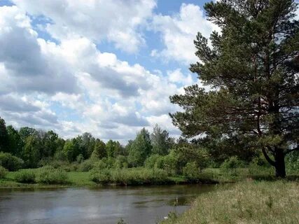 Арзамас сережа