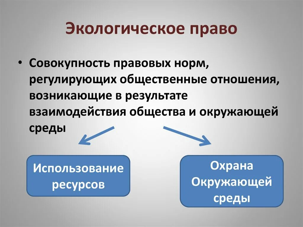 Природное законодательство. Экологическое право. Экологическое право презентация. Что регулирует экологическое право. Экологическое право регулирует отношения.