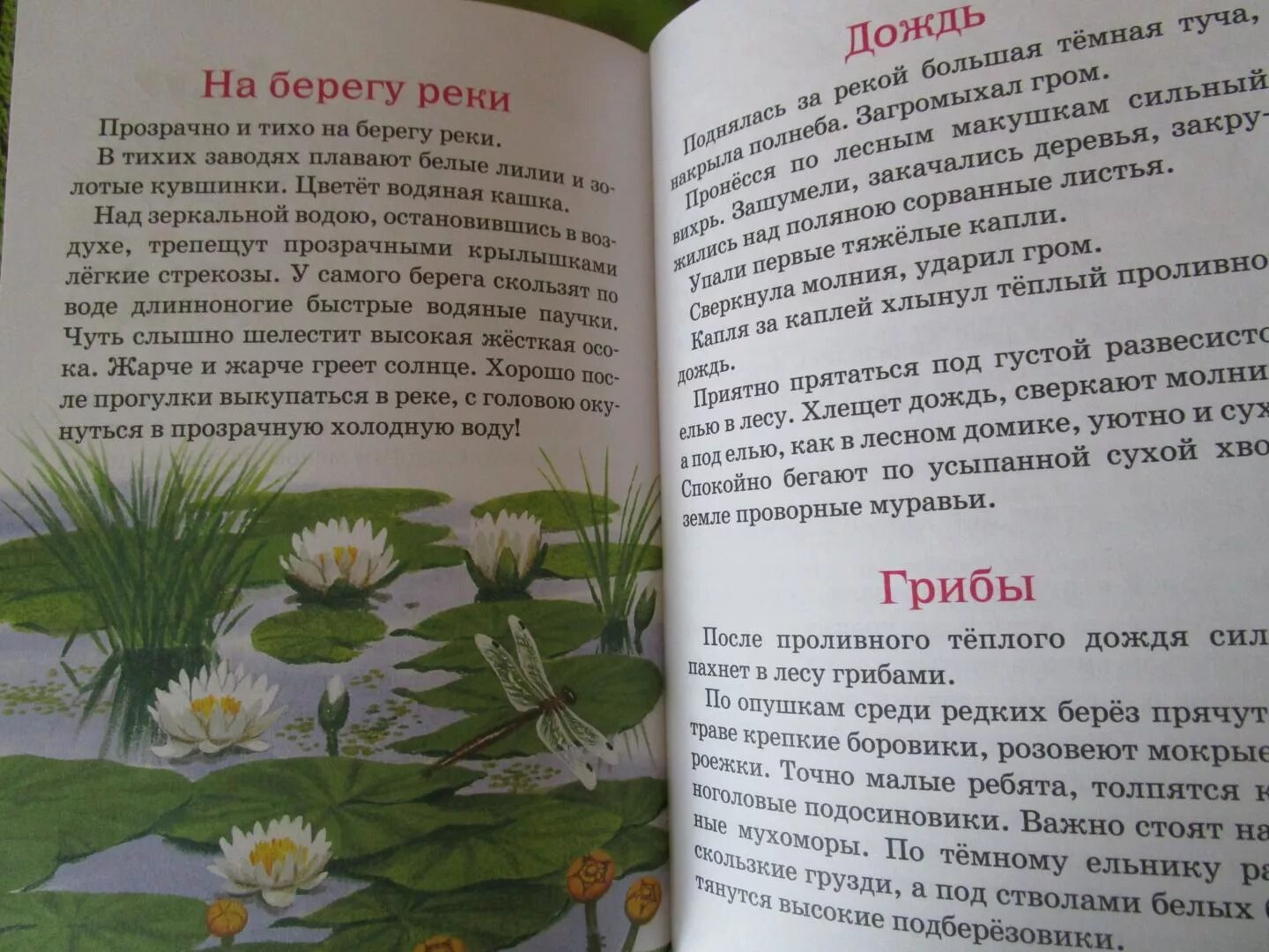 Иванов сын природы читать. Рассказы о природе. Короткие произведения о природе. Короткие рассказы о природе. Произведения о природе 4 класс.