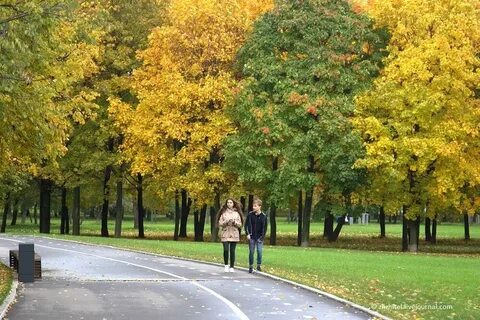 Park какая