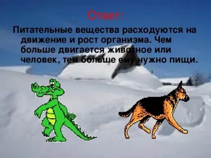 Почему животные полезны