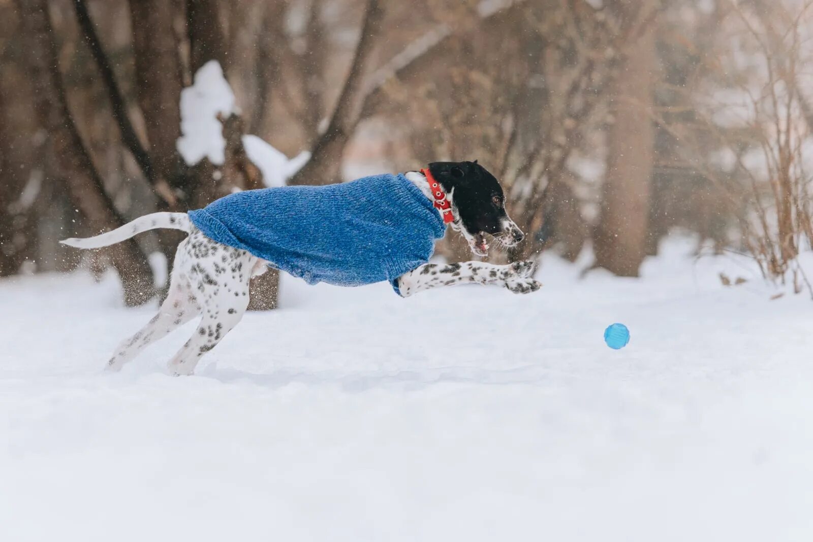 Правила поведения на дороге зимой. Гололед. Явления зимы. Гололед. Иней гололёд.