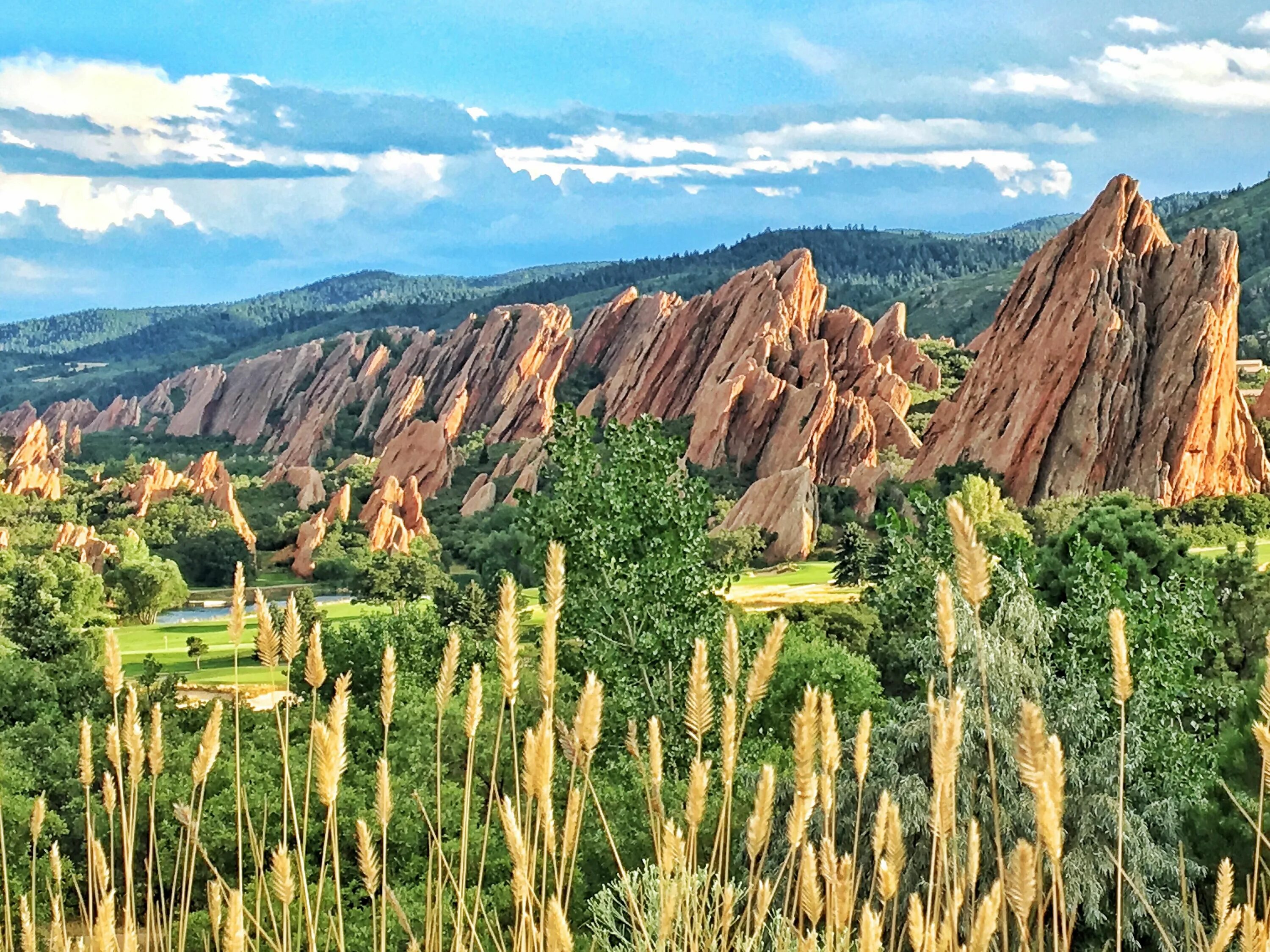 Колорадо какая америка. Colorado штат. Парк штата Колорадо. Штат Колорадо равнины. Пейщн штат Колорадо.