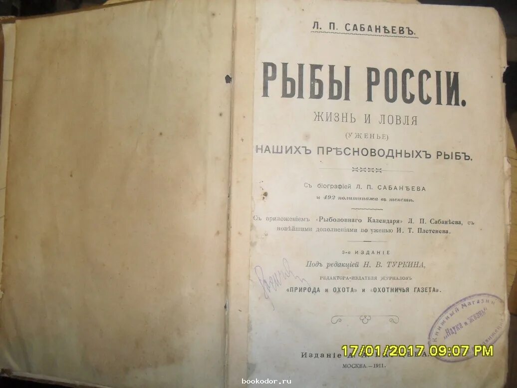 Жизнь пресноводных рыб сабанеев. Сабанеев. Рыбы России 1911. Сабанеев жизнь и ловля пресноводных рыб 1911. Рыбы России. Жизнь и ловля (уженье) наших пресноводных рыб. Книга Сабанеева жизнь и ловля пресноводных рыб 1911 год.