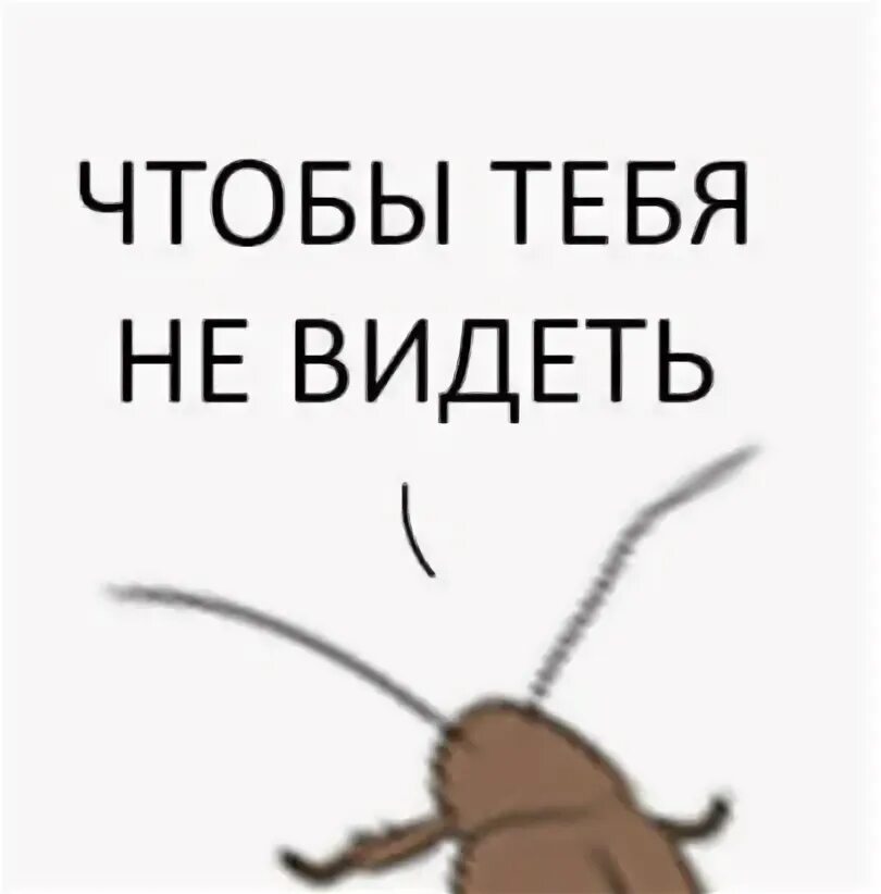 Мем с тараканом 2025 Meme: "химичка сдохла урааааааааааааа" All Templates