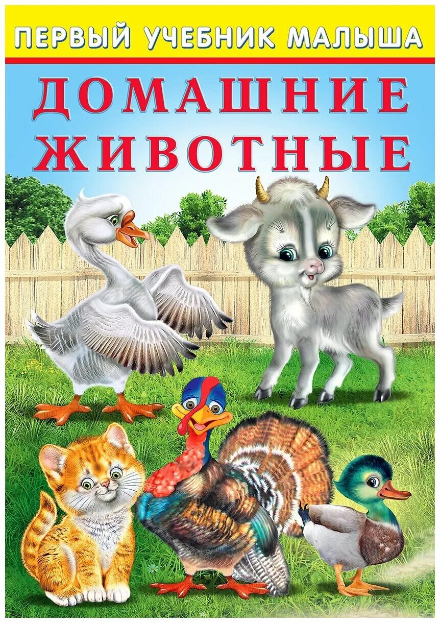 росмэн первый учебник малыша. первый учебник малыша. учебники для дошколят. книжки издательство фламинго животные африка. пособие азбука для дошкольников.
