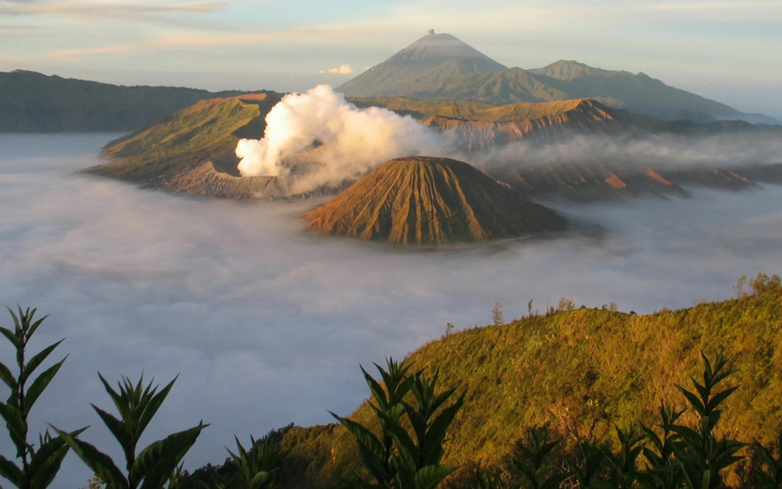 Java island