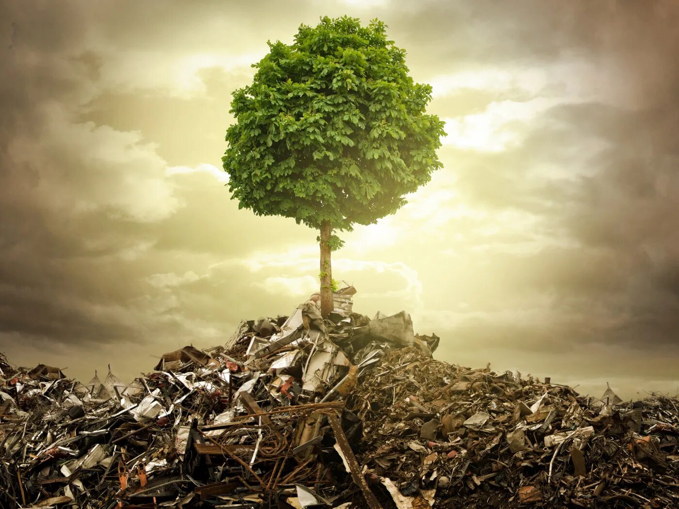 Looking after the environment. Looking after the environment