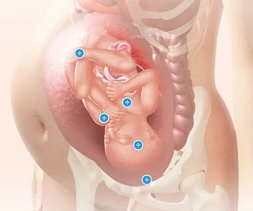 Что делает малыш в животе. Шевеления ребёнка в животе. Беременность малыш в животе.