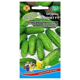Сорта огурцов для беларуси
