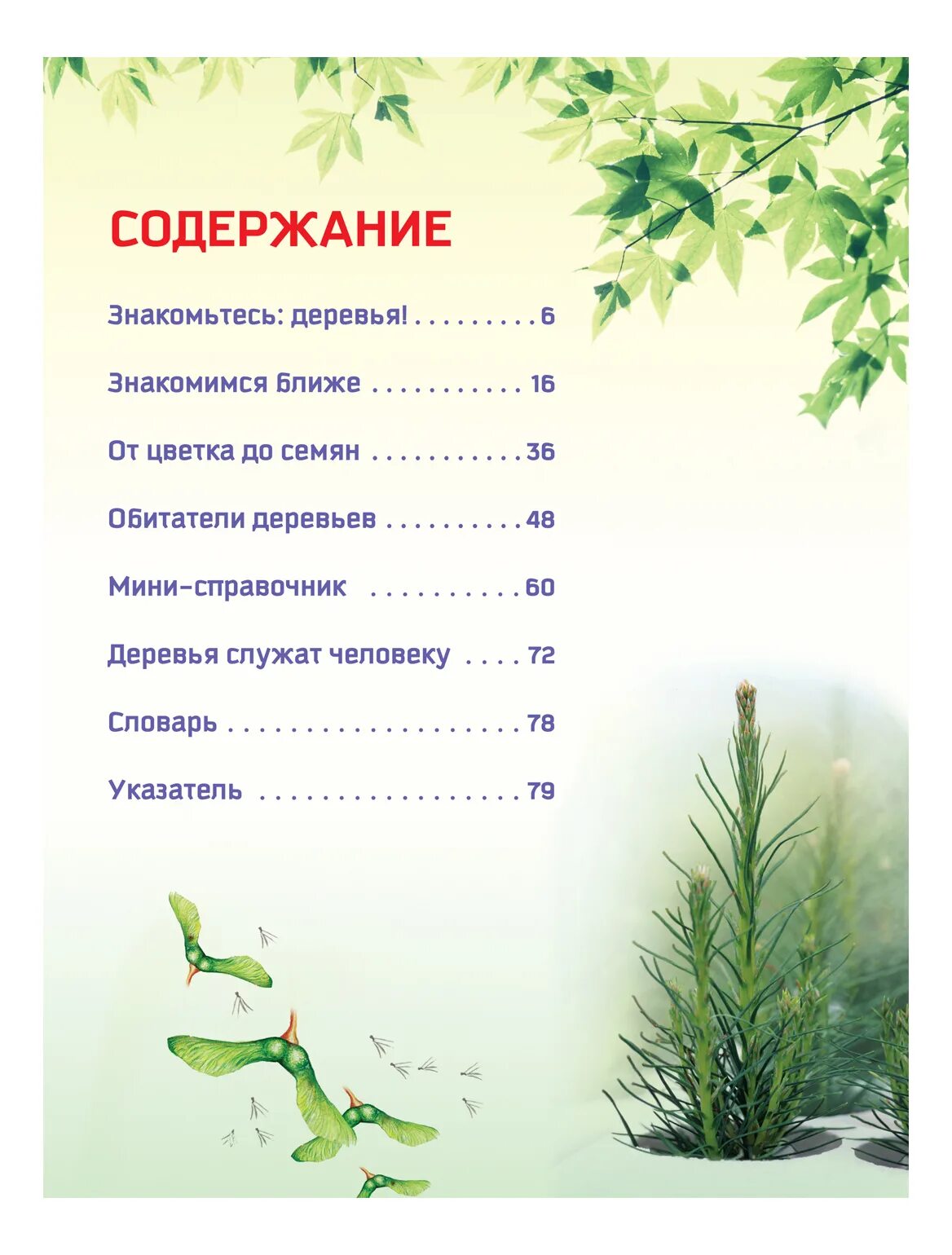 Произведение деревья растут для всех. Деревья. природа в деталях. природа в деталях деревья росмэн. хауэлл природа в деталях деревья. деревья растут для всех сколько страниц.