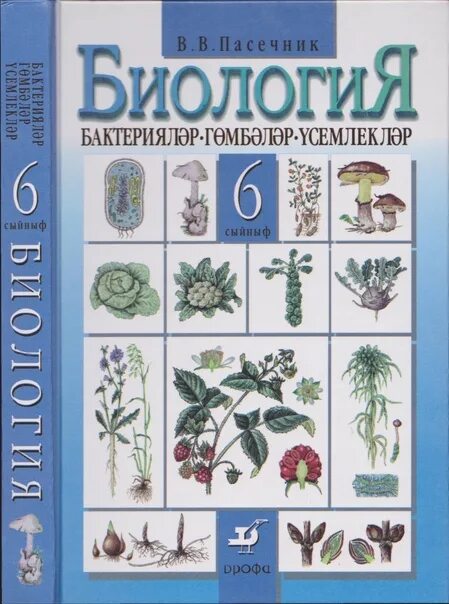 Учебник биологии 6 класс пасечник дрофа. Пасечник в. в. биология. 6 Класс // Дрофа.. Пасечник биология Дрофа. Биология 6 класс Пасечник. Пасечник биология 6 класс Издательство Дрофа.