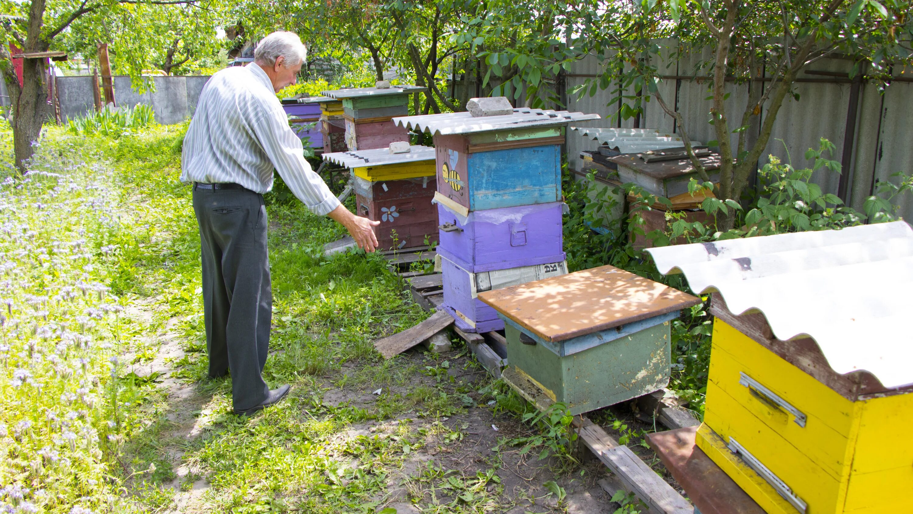 Ющенко пчеловод. Пчеловод выход. Пчеловодство для начинающих. Пчеловоды в чили. Японский улей для пчел.