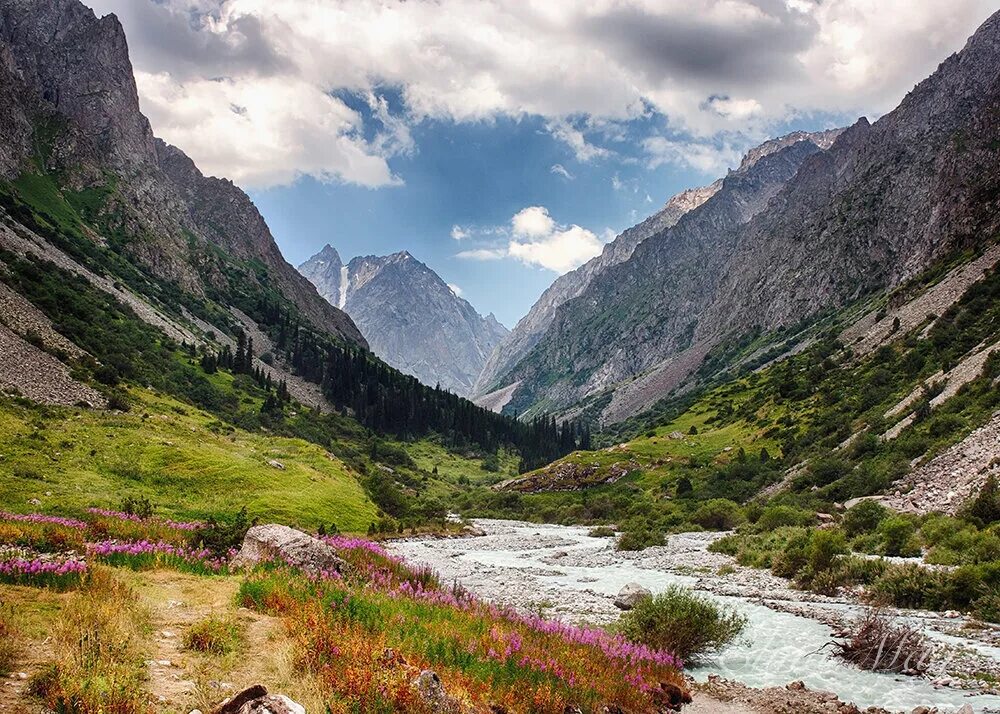 Парк ала арча