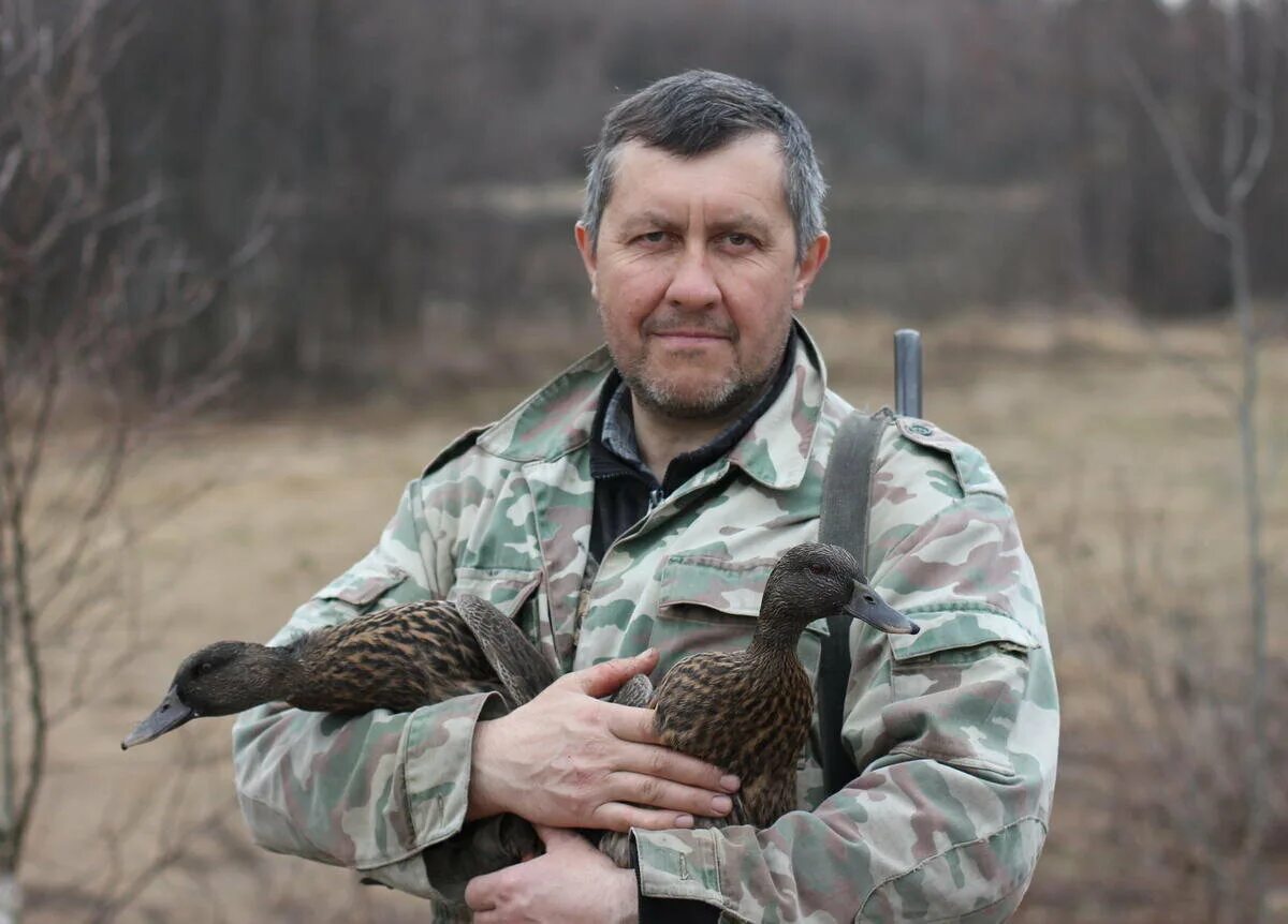 Крик подсадной утки. Семеновская подсадная утка и охота с ней. Чубарая Семеновская селезень. Охота с подсадной уткой. Подсадная утка Семеновская чубарая.