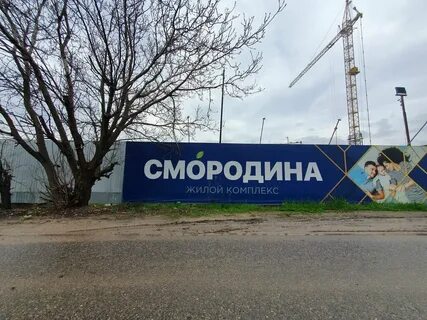 Смородина карта
