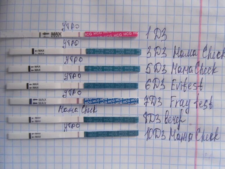 Как показывает тест на ранних сроках беременности. Поквжет ли тест внематочнцю беркменнлчть. Внематочная беременость покажет ди темь. Тест на беременность при внематочной беременности. Внематочная беременность покажет ли тест на беременность.