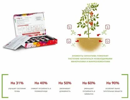 Ксп интернет магазин сайт