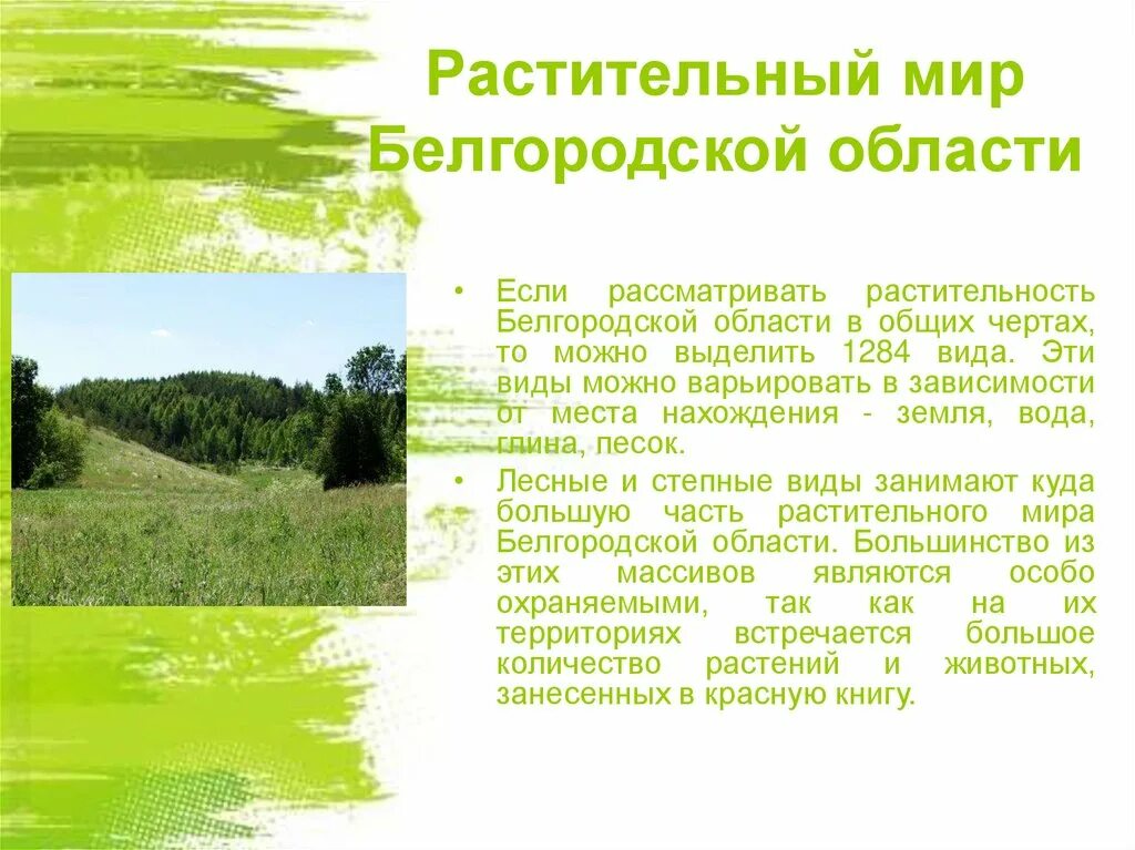 Сообщение о природном сообществе родного края