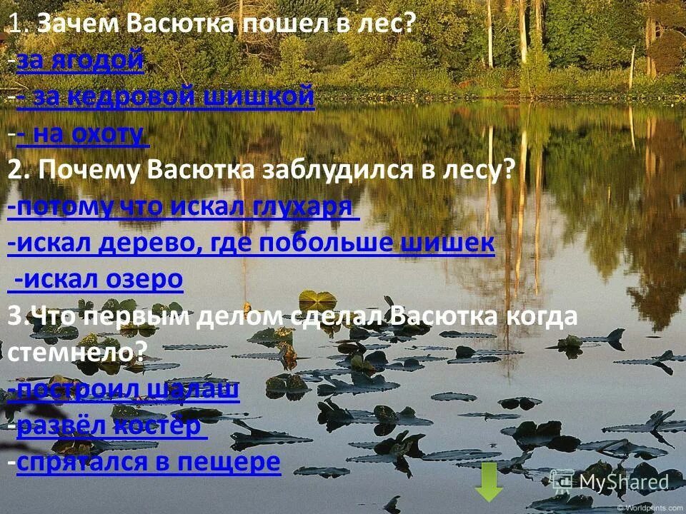 Благодаря чему васютка спасся в лесу