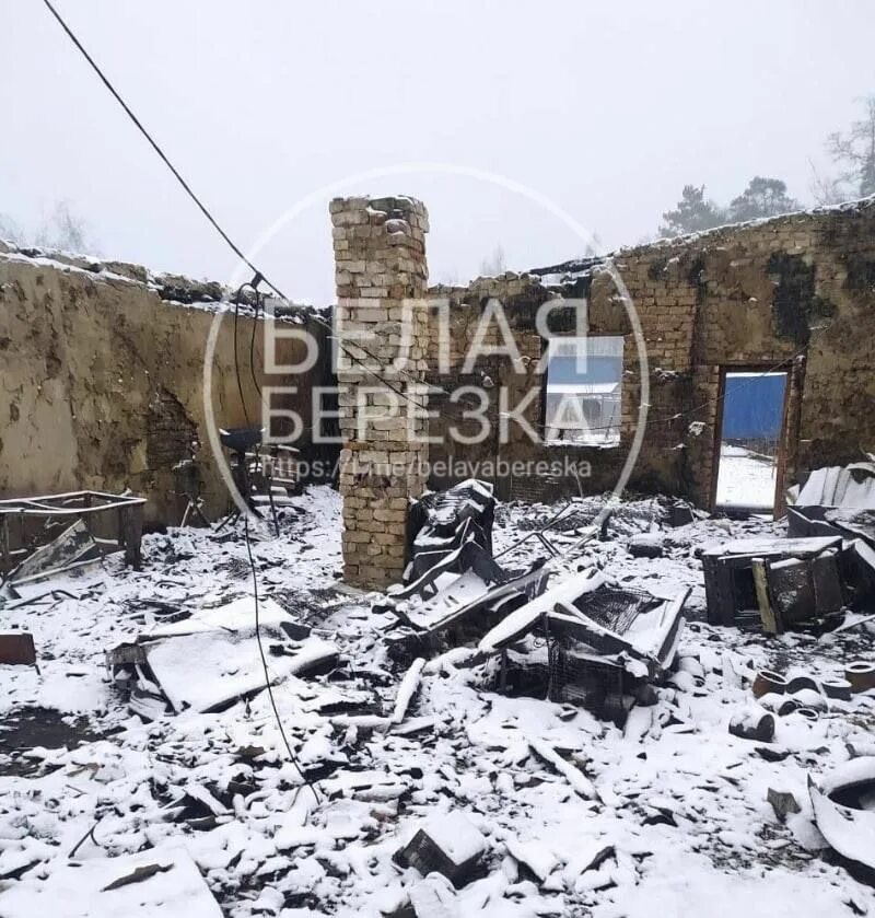 Новости в белой березке