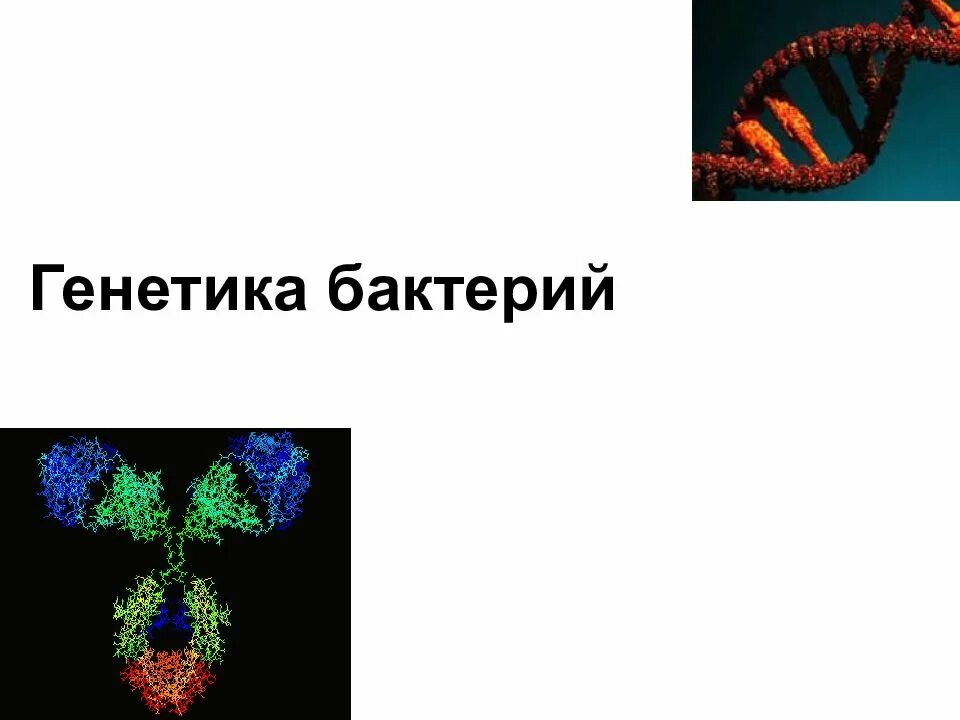 Генные бактерии