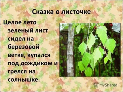 Рассказ про листик