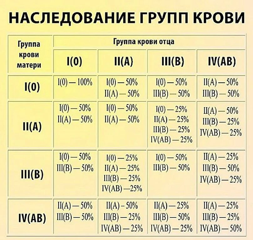Из каких кровей получается 4