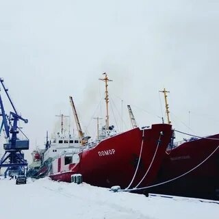 Помор мурманск