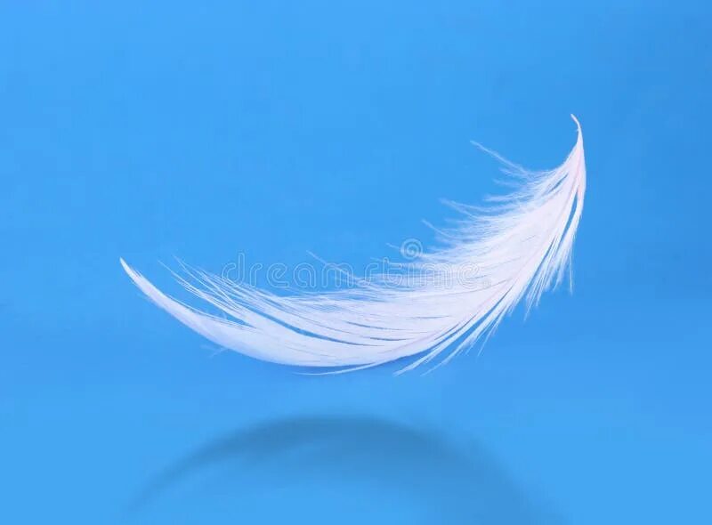 Flying feather