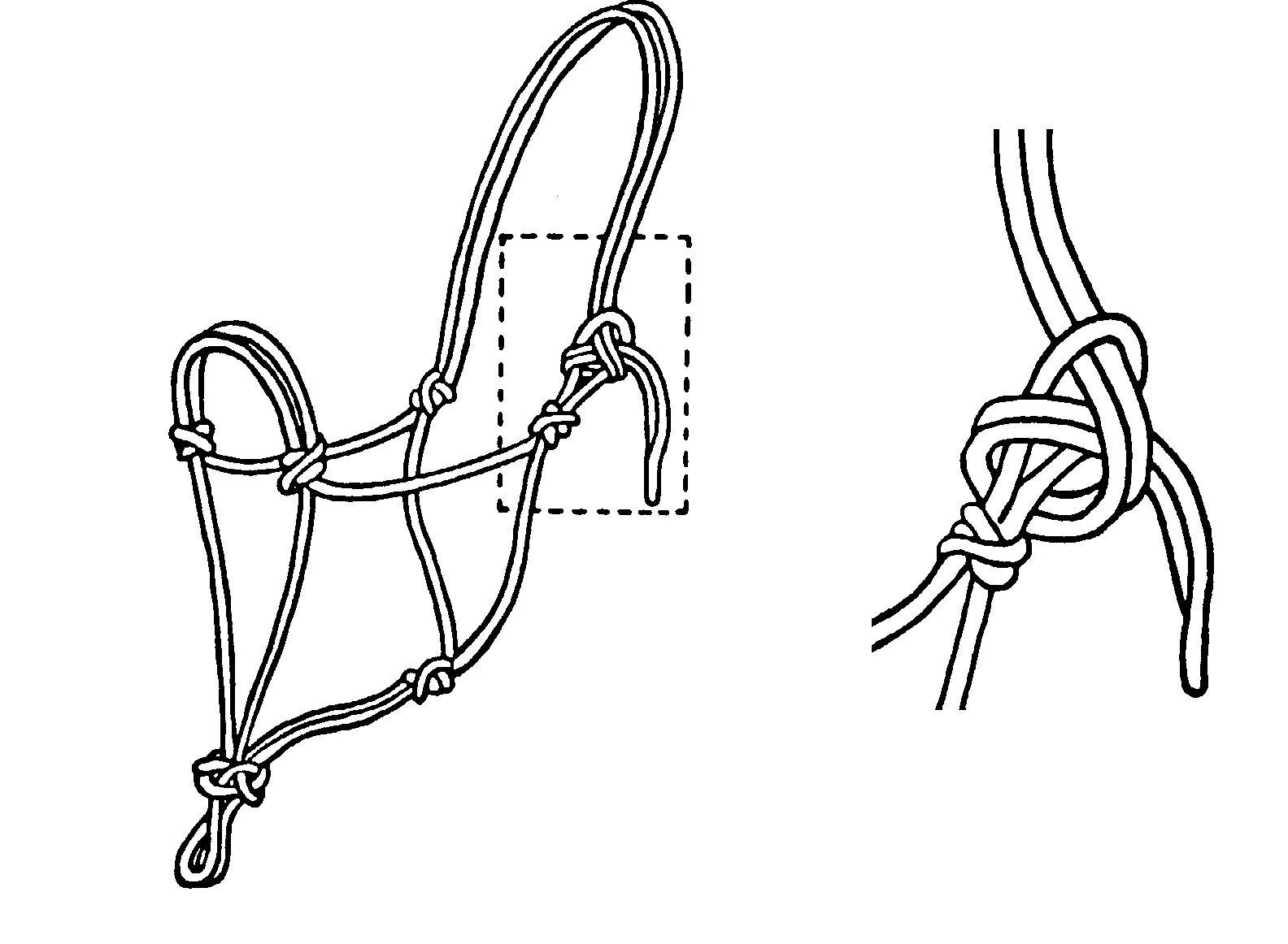Веревочный недоуздок для лошади. Недоуздок для лошади из веревки. Недоуздок для лошади схема. Недоуздок из веревки для лошади схема.