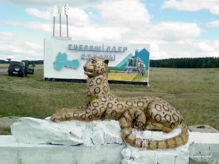 Степняк