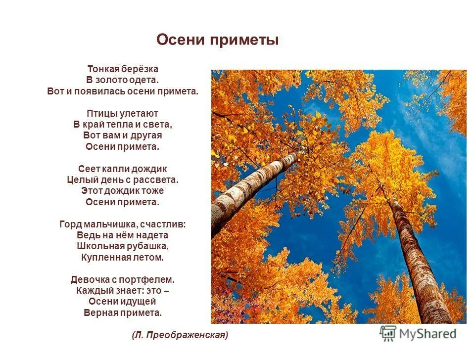 Текст тонкая береза. Стихи про осень. Стих осени приметы. Стих осенние приметы. Приметы осени стихотворение.