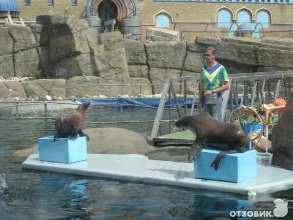 Дельфинариум в москве. Дельфинарий в зоопарке в москве. Московский зоопарк, дельфинарий москва. Дельфинарий в зоопарке в москве. Дельфинарий в московском зоопарке часы работы.