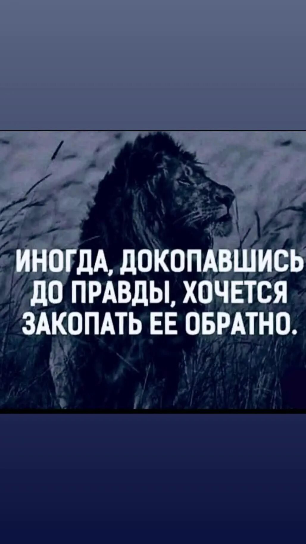 Докопавшись до правды хочется закопать. Докопавшись до истины хочется закопать её обратно. Иногда докопавшись до правды хочется закопать ее обратно. Когда докопаешься до правды хочется закопать ее обратно. Хочешь правду песня