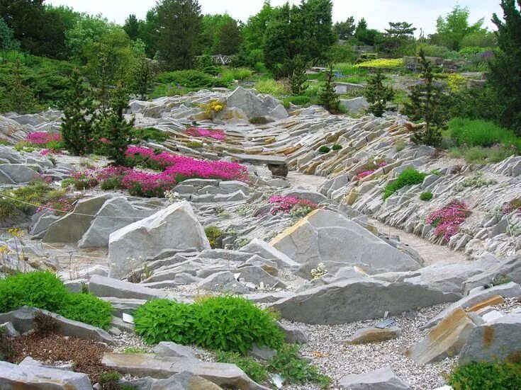 Фото террасированного склона Garden stairs, Outdoor gardens, Hillside landscapin
