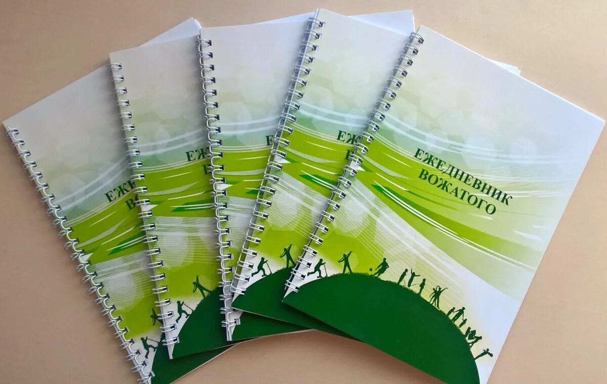 Дневник вожатого в лагере. Папка вожатых. Педагогический дневник вожатого. Педагогический дневник вожатого. Папка вожатых.