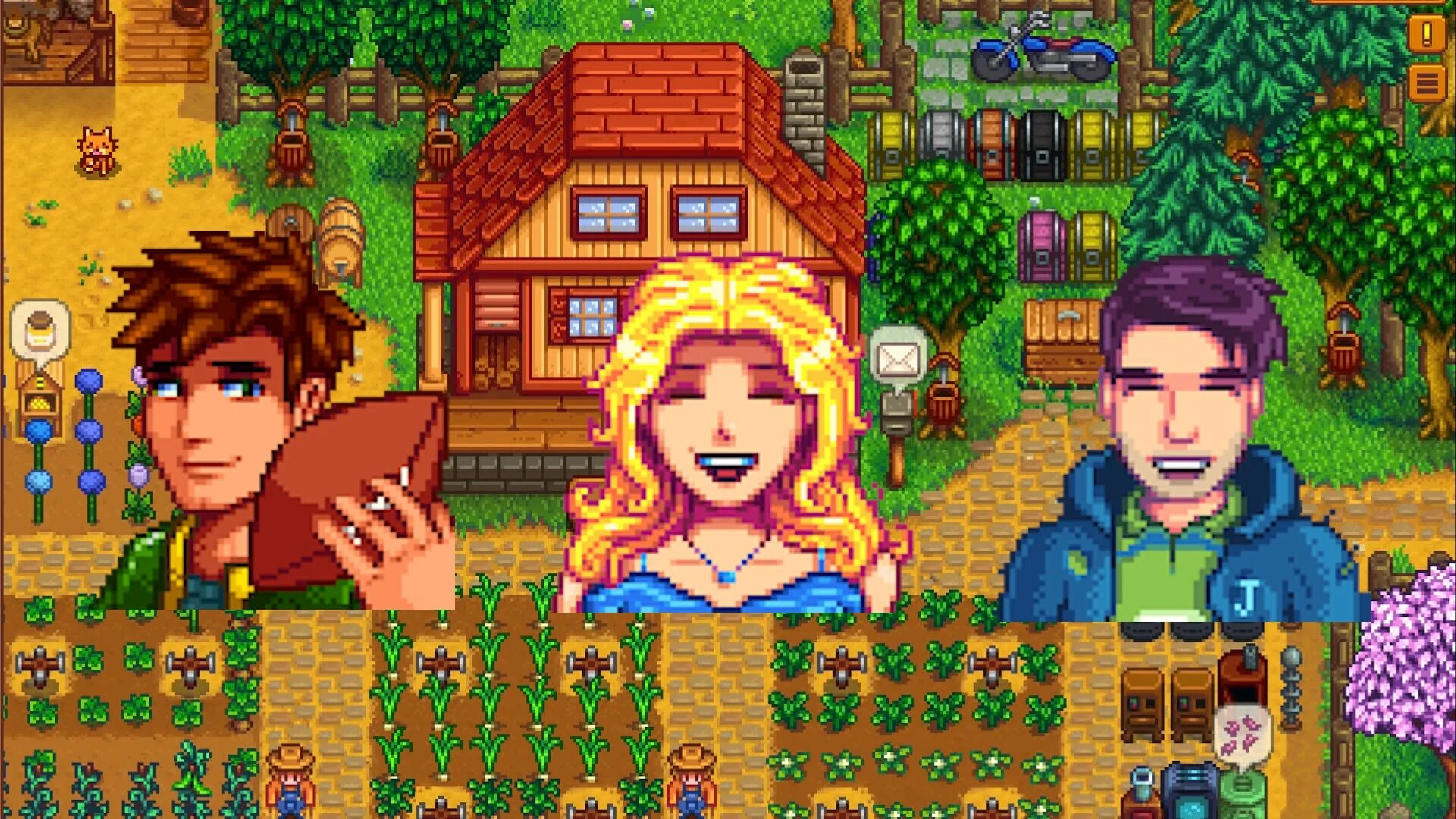 Создатель Stardew Valley.