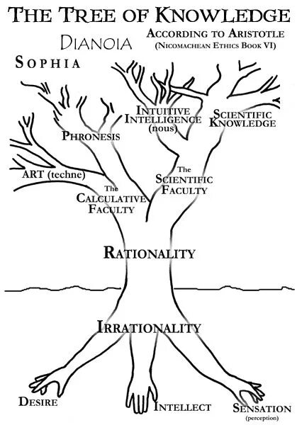 Branch of knowledge