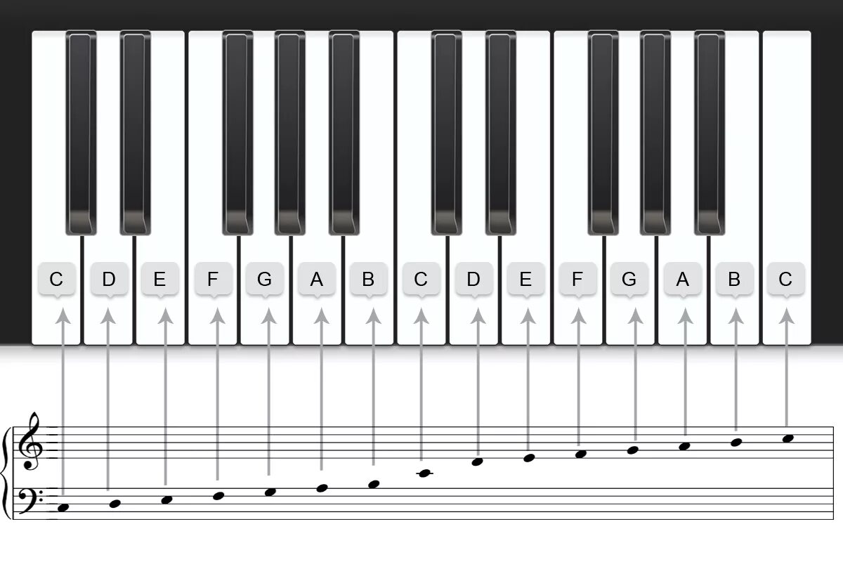 Октава цифровые. Клавиатура пианино 1 Октава. Клавиатура пианино 1 Октава а4. Клавиатура пианино 4 октавы. Клавиши фортепиано 2 октавы.