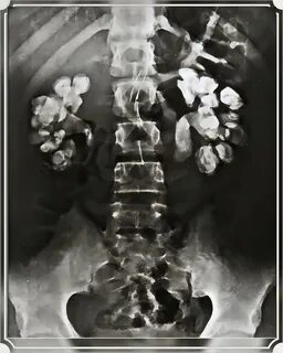 "Медицина Фармация" - @themedfarm Telegram-kanali - TGStat