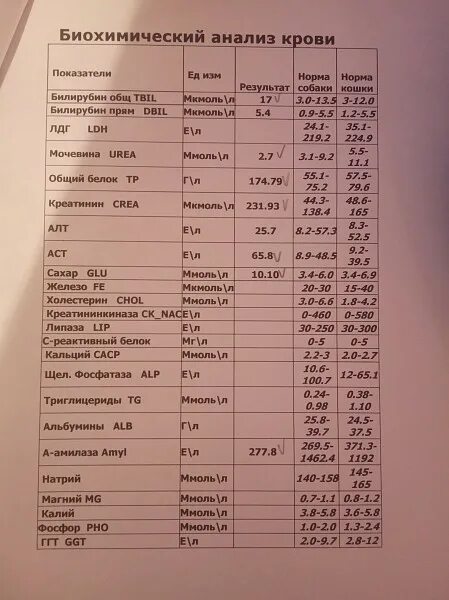 Биохимия показатели расшифровка. Норма биохимических показателей крови у мужчин. Биохимический анализ крови норма у женщин. Биохимический анализ крови показатели нормы для женщин. БХ показатели крови норма.