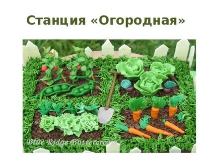 Станция огород