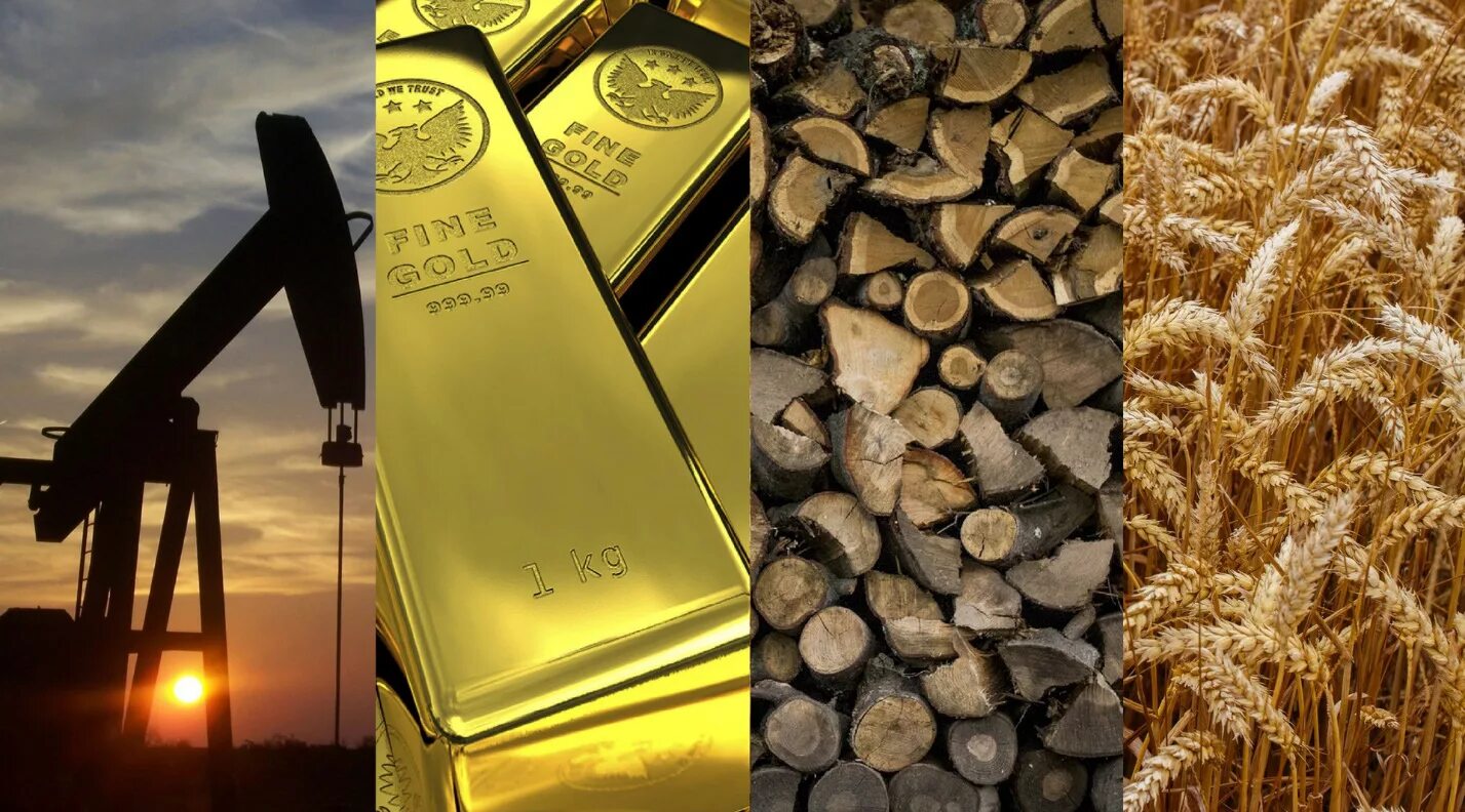 Газ добыча. Нефть золото. Пшеница нефть. Нефтяные поля. Пшеница нефть.