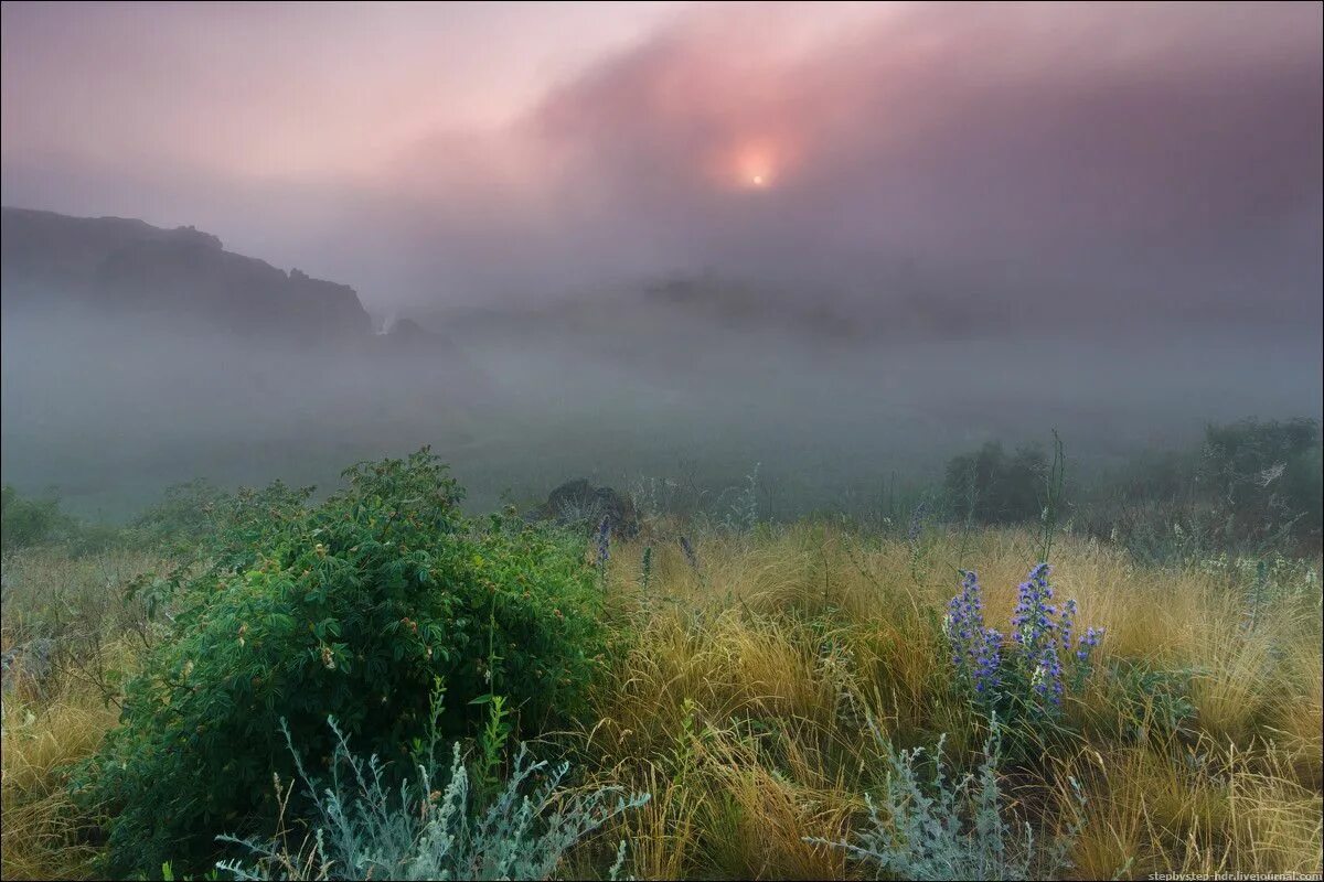 Утро туман н нн о. Туманное утро в Италии Айвазовский. Туманный пейзаж. Туманное утро. Утро туман.