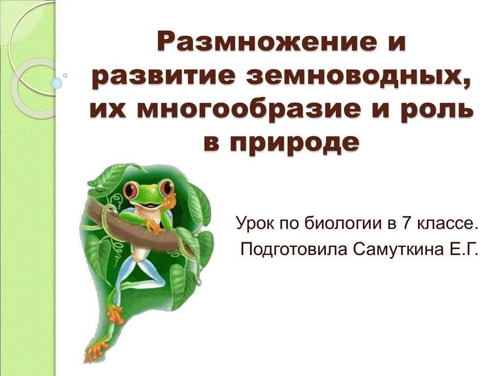 Способы размножения земноводных. Размножение земноводных. размножение и развитие амфибий. размножение и многообразие земноводных. размножение и развитие земноводных таблица.