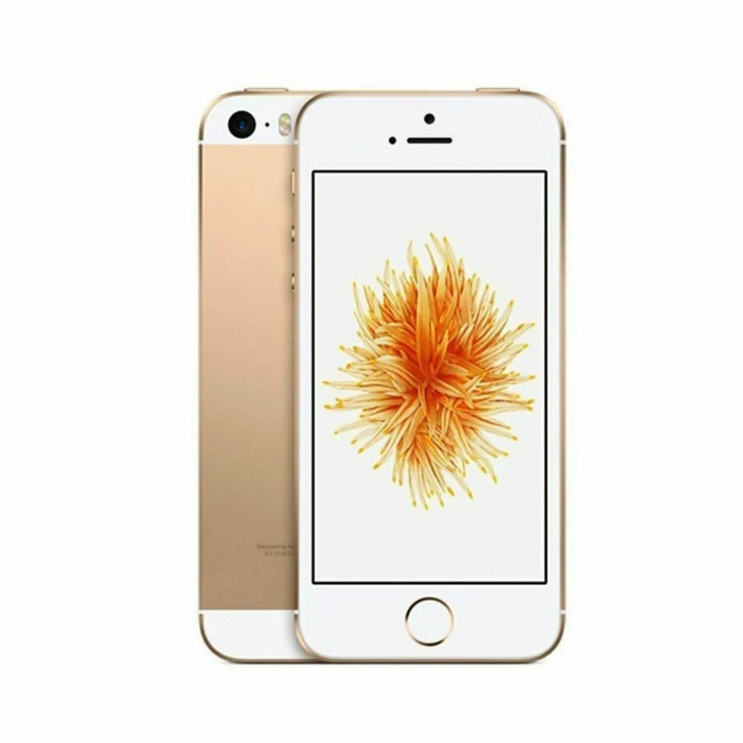 Iphone se space gray 32gb. Айфон se 2016. Айфон se 2016 золотой. Se 16gb. Iphone se space gray 32gb.