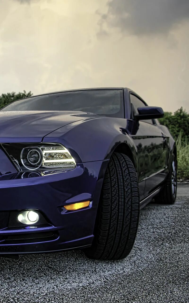 2020 Ford Mustang Shelby GT500 4k shelby wallpapers, hd-wallpapers, ford wallpap